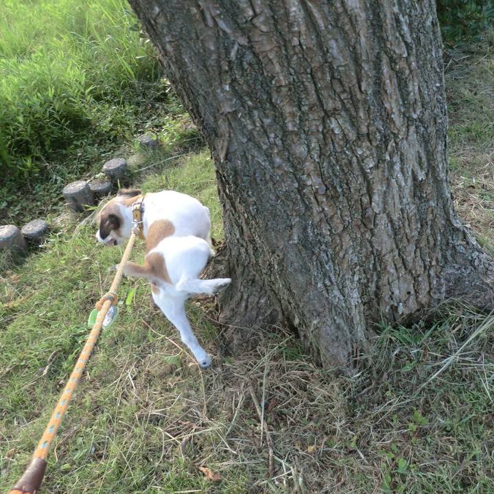 6ffe0d18 fa63 410c 8150 3108e44bb4dc