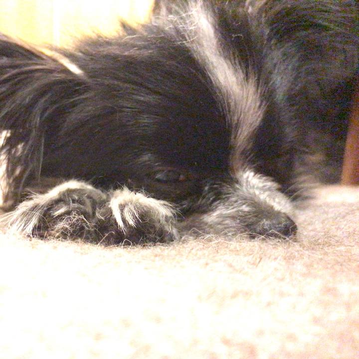 6ffe1f09 3852 4416 b7b6 f5778d697161