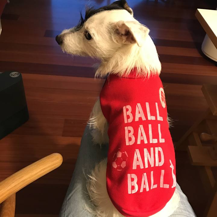 6ffe7d55 5c67 4b67 9871 db0e3dac699a