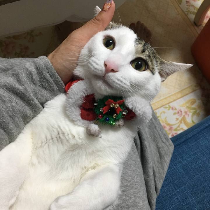 6ffefbbc 6748 40be 8cf3 884f45bbe801