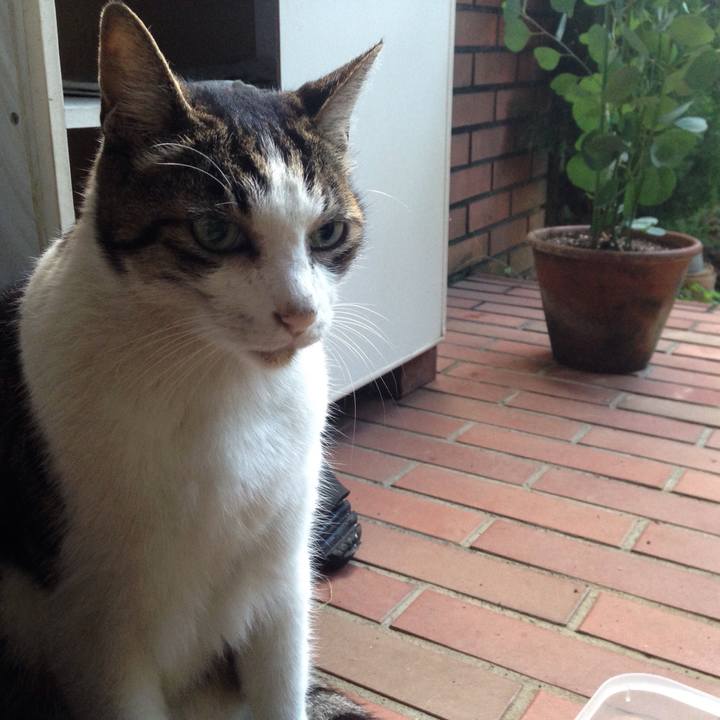 6fff0b24 9849 49e3 b807 c92d868c4393