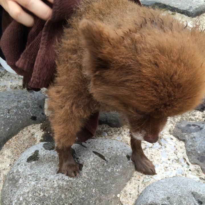 6fff2fc3 e671 4f81 96f2 86627556aa82