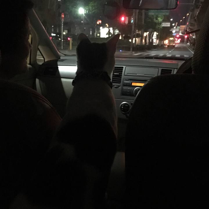 6fffa170 4d65 4d6b a2b9 8621a90e117b