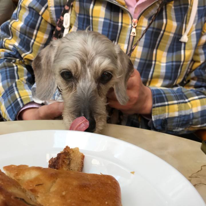 7000683b 3988 4113 af9b bc5ccd09269a