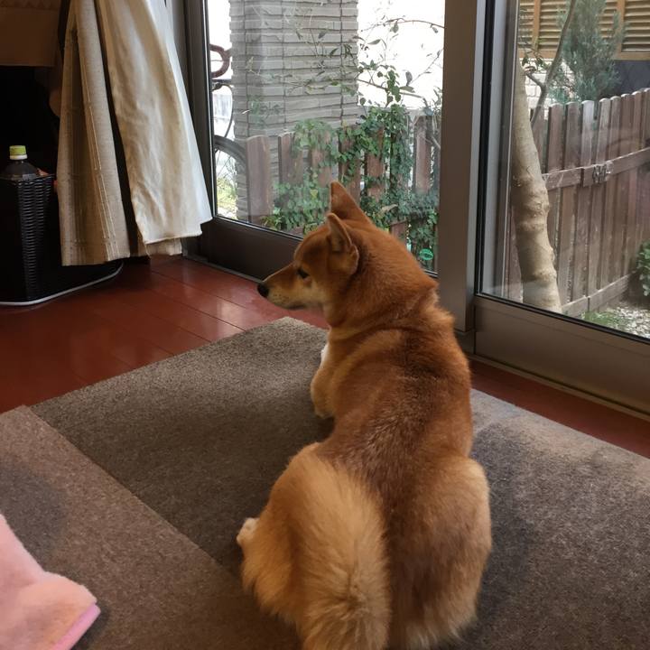 70008f28 d76d 4b40 9412 2baf0504d281