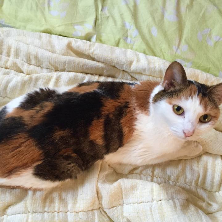 700094df c9e5 4215 bd75 fb70a96aa79c