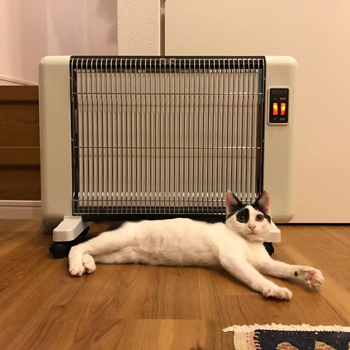 7001474a 63a9 407f b928 3d353e3cf038