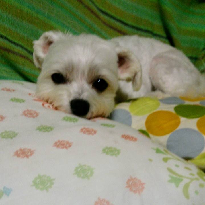 70014b7f 9cd9 44d3 b4d8 5c10fa47bbb7