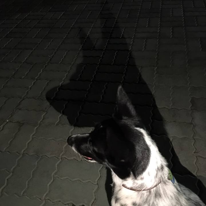 70016596 1408 4aed a5ae a930720b9def