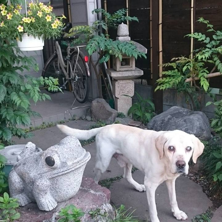 70023f40 d6a9 4795 866a 2b888122d9ff