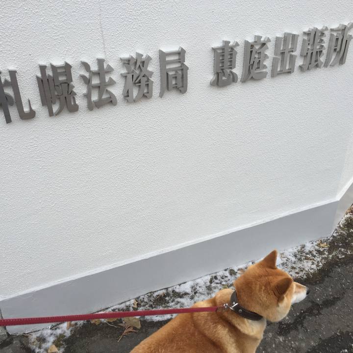 70025f3e d774 4293 b4d8 33d2a002de0b