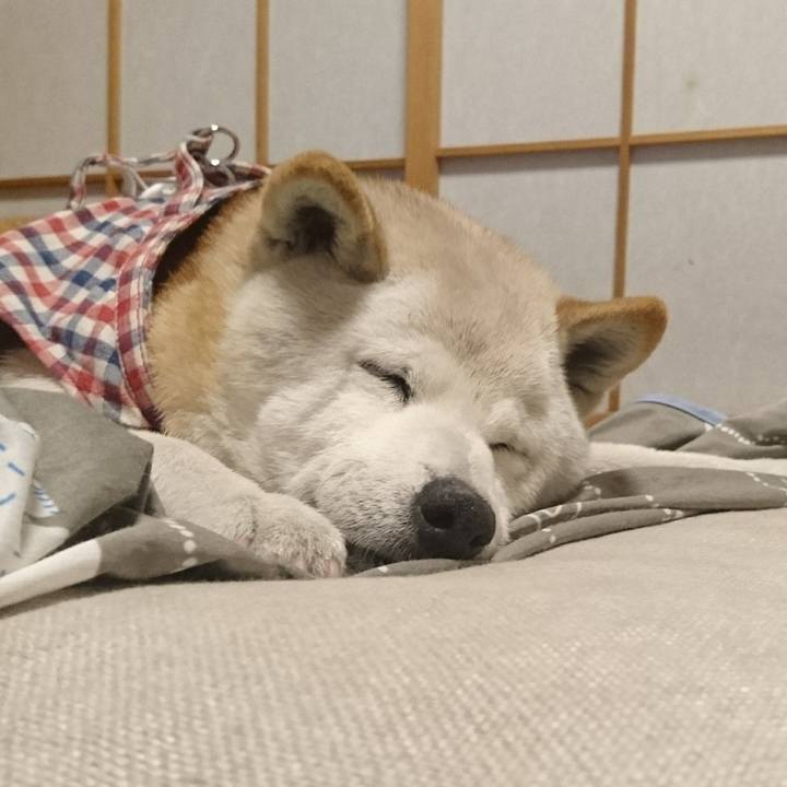 7002783e a972 405d 9902 61d181648329