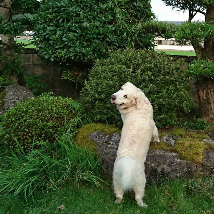 7002aafc ab43 4444 8deb 35a49321ca42