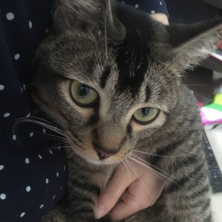 7002cb1d e06e 4fc6 9250 b2d5fe7aca37