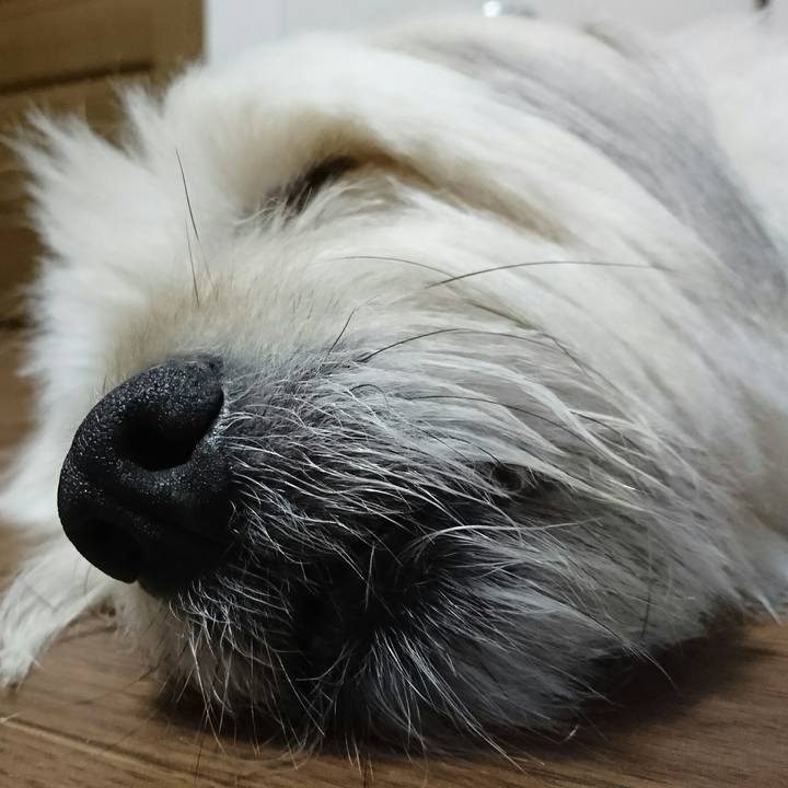 7002e529 936c 4054 ab5f dce0672969a4