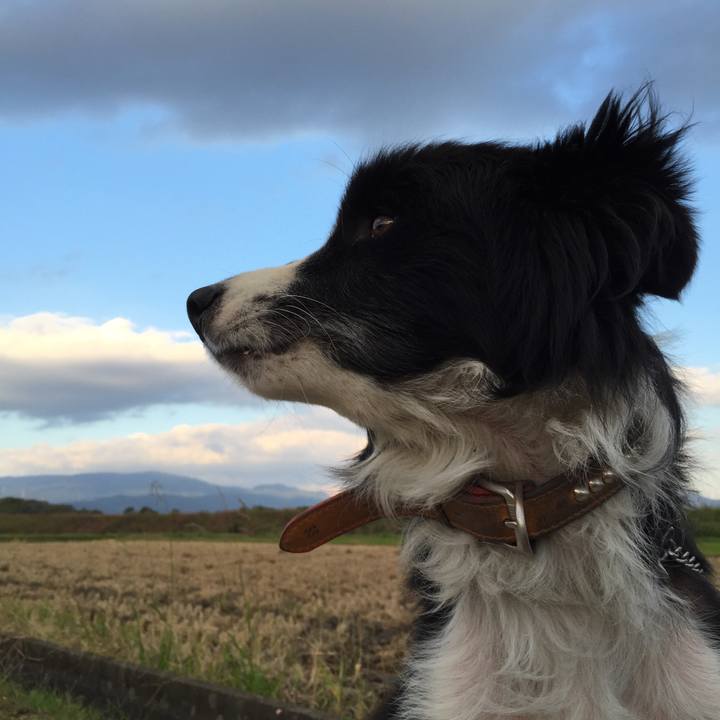 7003635b c7b0 489c 8b4e 503bd936bf9e