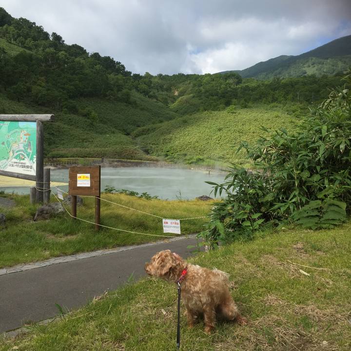 70048bd6 242a 4324 ad05 0ff6082b239d