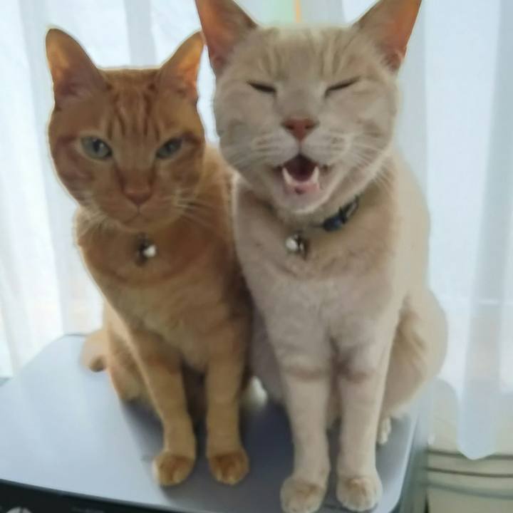 7004ed16 1096 4f48 8bc5 22a3994d5325