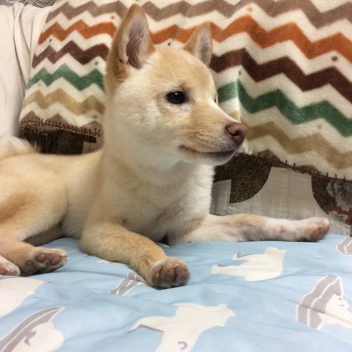 7004f48f 310b 41c1 a5b1 5471ed0acf5d