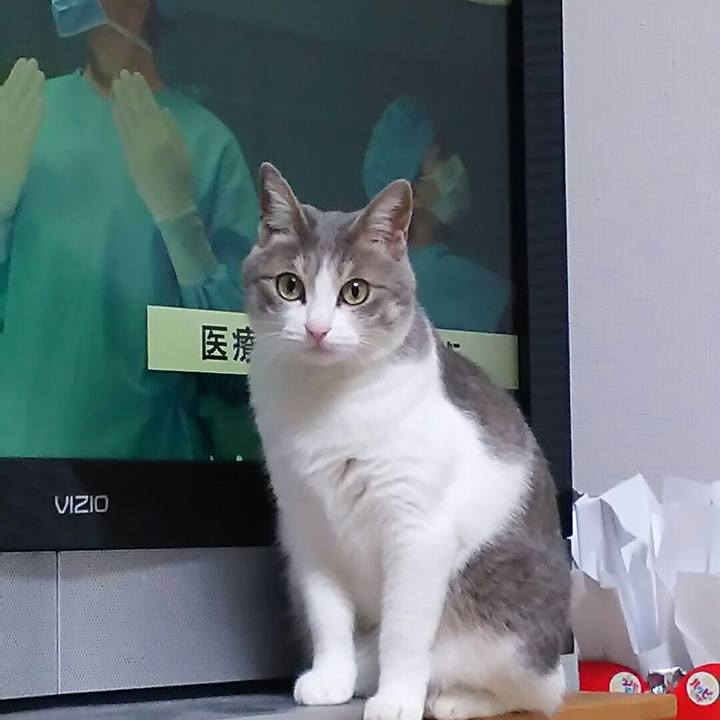 700644ad 5908 41fc 96bc 4b7ca1d5c113