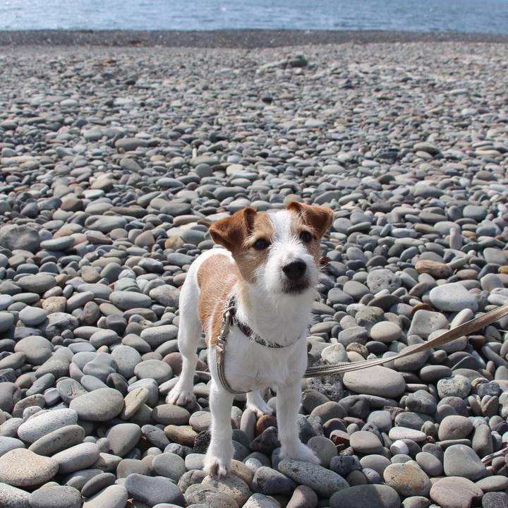 7006c181 39d0 4935 9fa0 5fe746694447