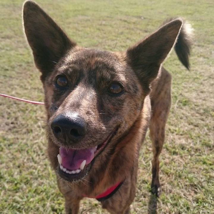 7006c2ed b496 4130 90d3 78da8722be47