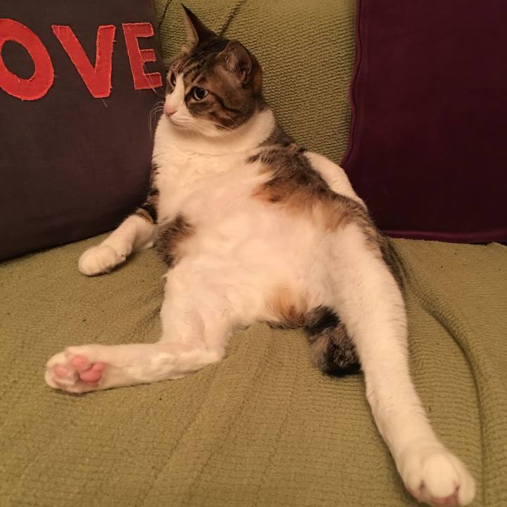 7006dfa7 14b8 4156 88ad aada82a76cfd