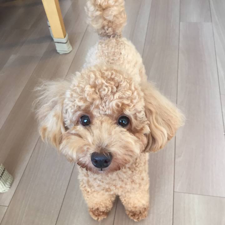 70089f4e a701 4dd7 b2c6 774875672887