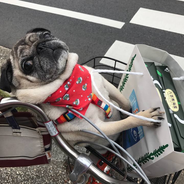 7008dc46 cf2e 43d6 849a f61ff10fdbcf