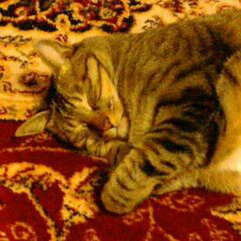 70098cc5 48f3 40cb ace5 497ca8335e16