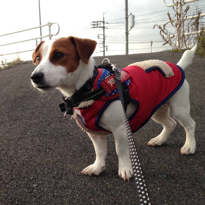 700a0aab 323f 4453 9b0b 36956aa36ba0