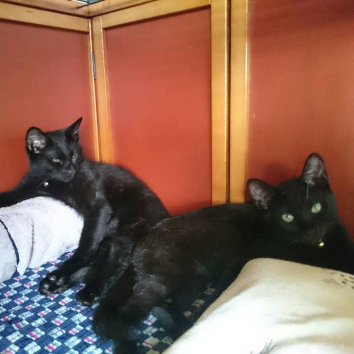 700a0fff a52c 43fb 936e 79334a544cac