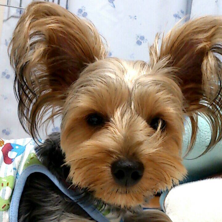 700aa508 f213 46c6 a670 d69b0cbf51a3