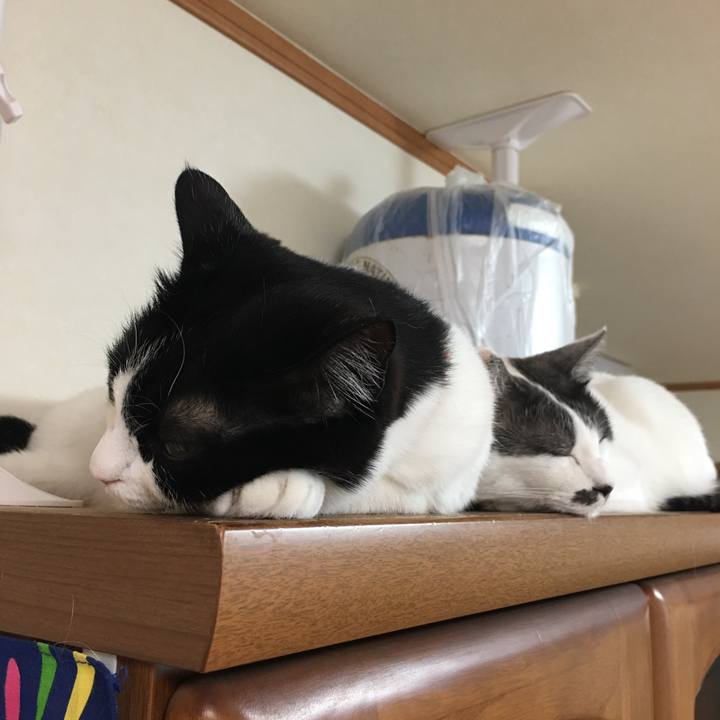 700b252a 9102 4d3d 9d8c 4a9e55140c23