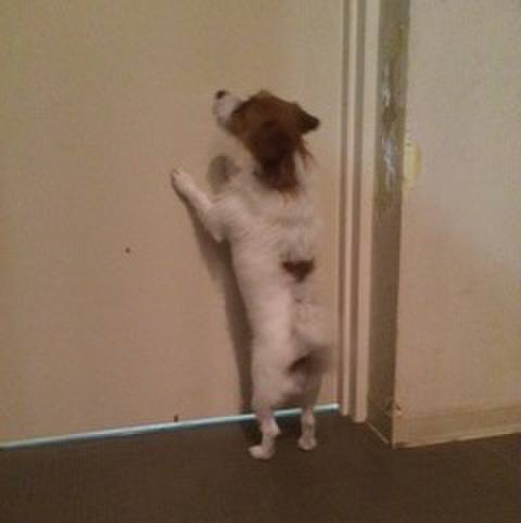 700bf2d5 eebd 4095 bc02 1e271d8d9383