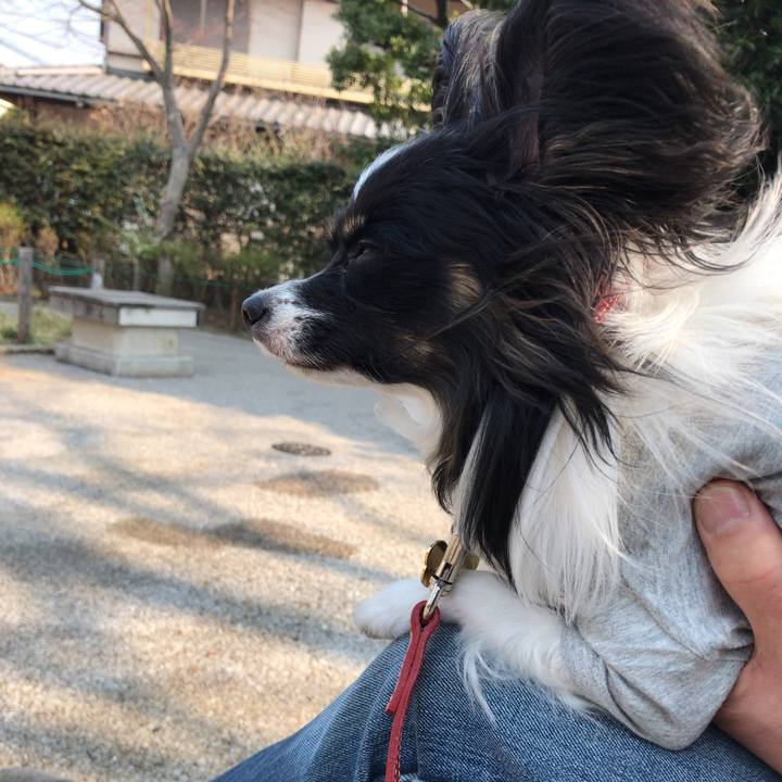 700c95ea 9daf 46c6 b96f 9dc3ebcff0f3