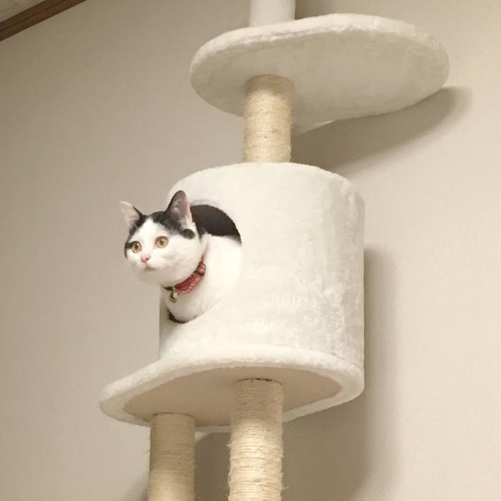 700cba3f 2b05 4eaa b745 c4c8a0b354c6