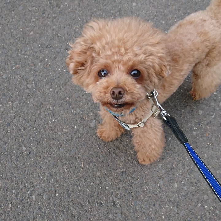 700cd8d0 3c5c 4863 a0d4 d64ef5ada590