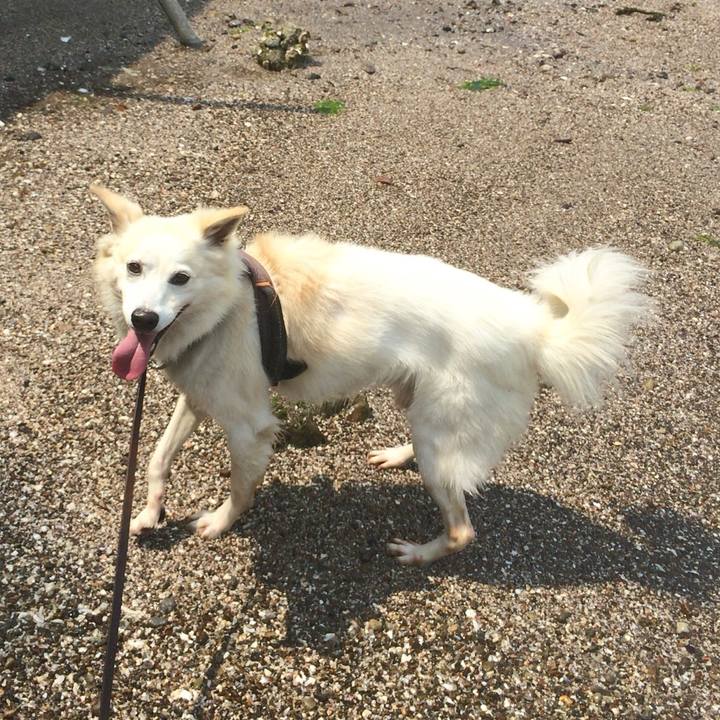 700d0425 e455 45c6 8ee3 a5ea44ddb352