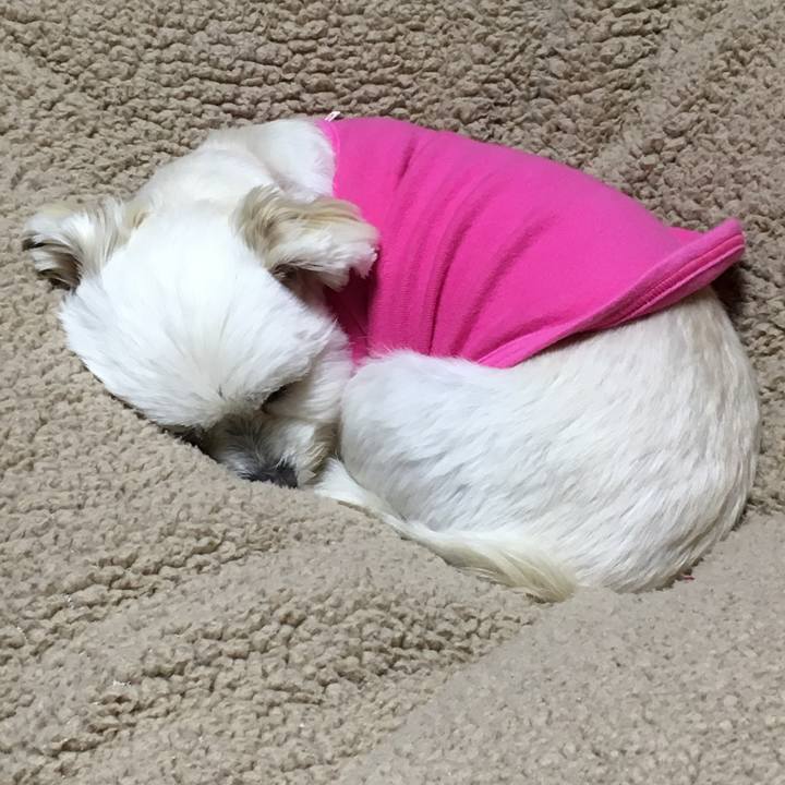 700d7895 f2f5 4601 a420 4db41e34ca3d