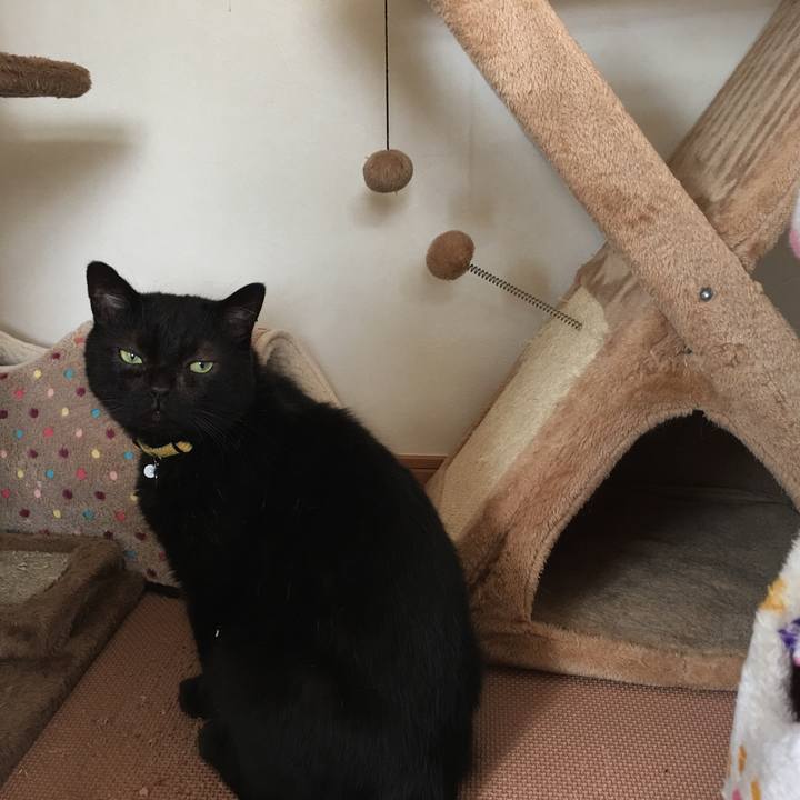 700e5479 ec91 4336 bc1f c5426664d7c3