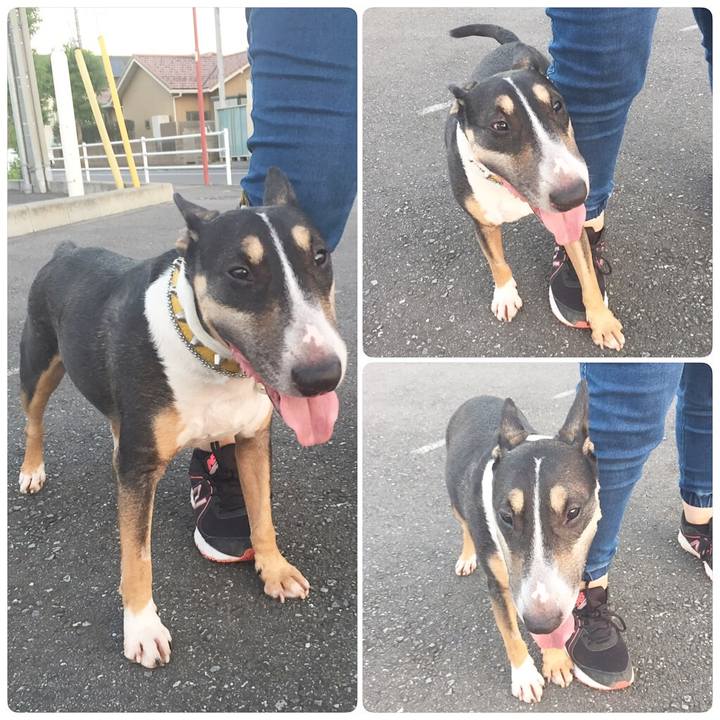 700eae83 ab25 47be aac8 1de687b00a60