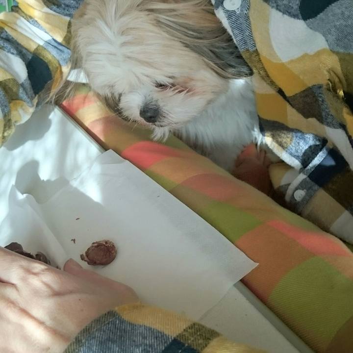 701030db 3ff6 4030 b969 d4a21ea52af4