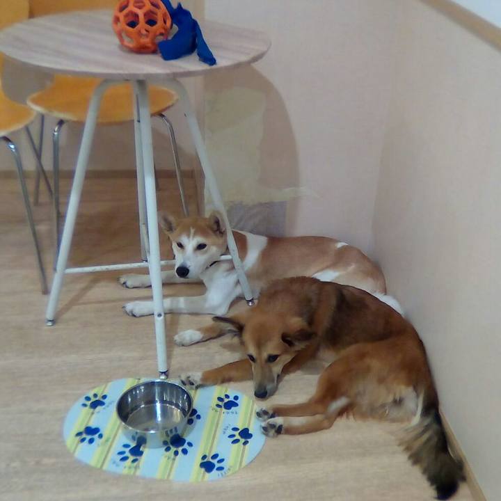 7010453e 2a1b 430a 9ce1 c2cc26107d62