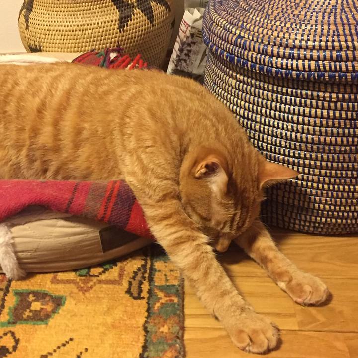 7010a323 da15 43cf ab83 9ded1a53cd55