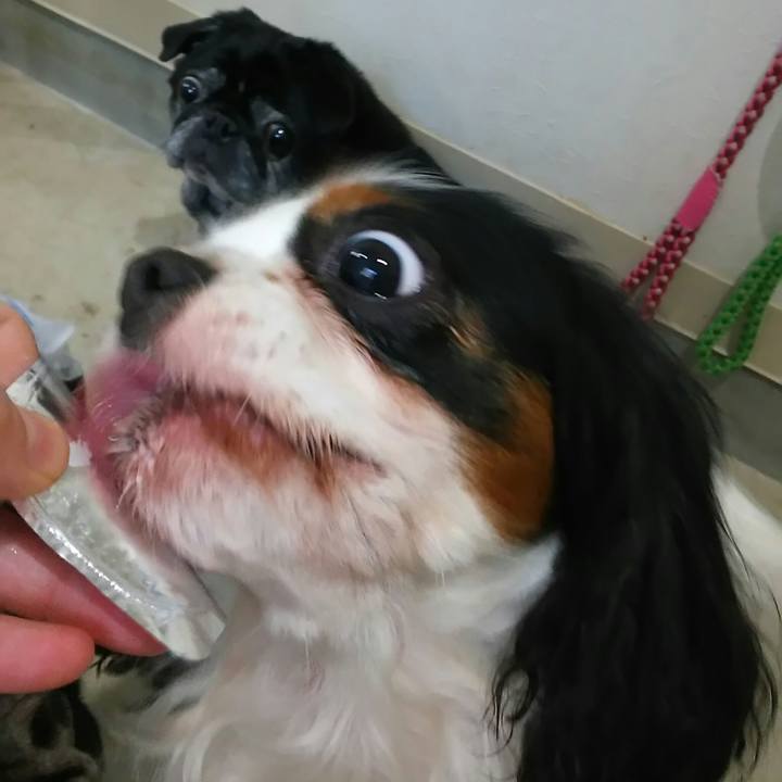 7010f03d d139 4c2c 80e3 9abc3559baa8