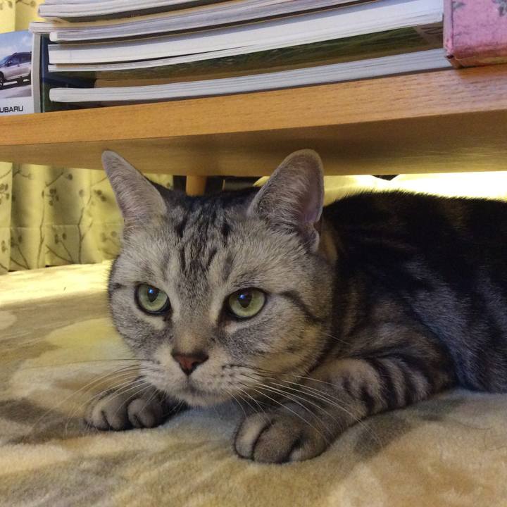 70114ef3 7836 4366 b752 d43ab745773e