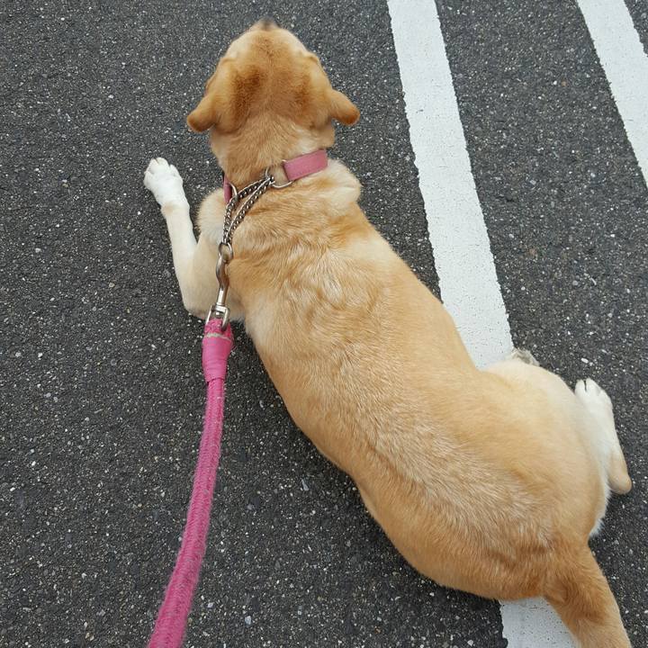 70127e8e 181e 44e2 ab02 960db11a334b