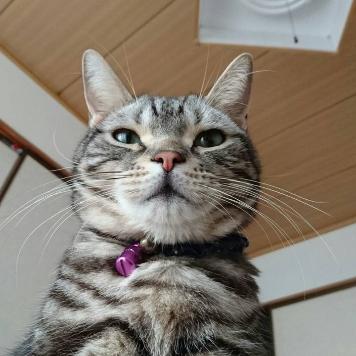 7012c545 431a 4a68 aa6d adf624d15574