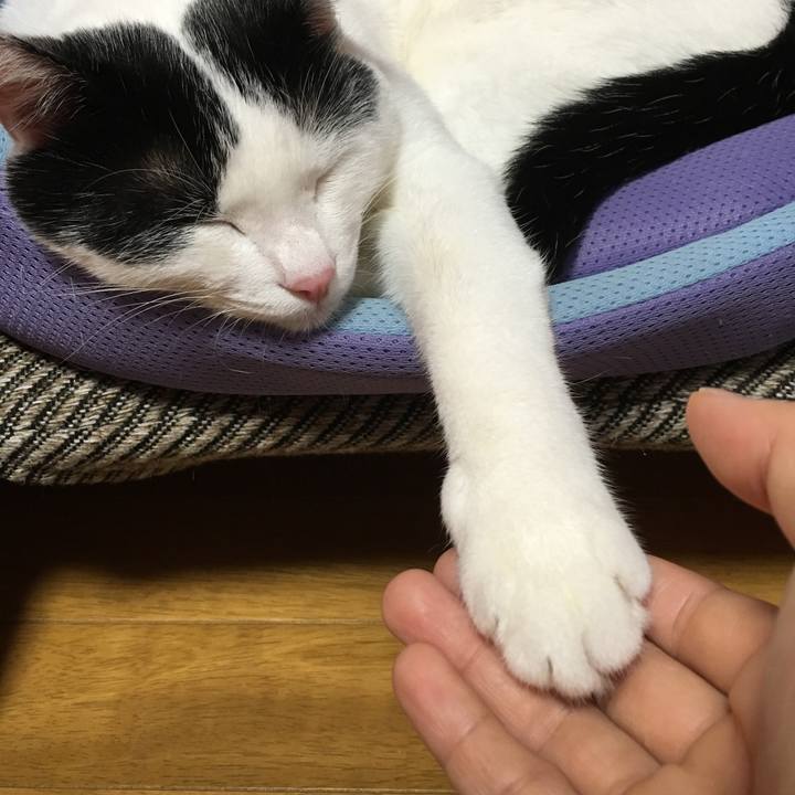 7012c9f3 e336 4eb3 a7f0 8e07e2c28a29